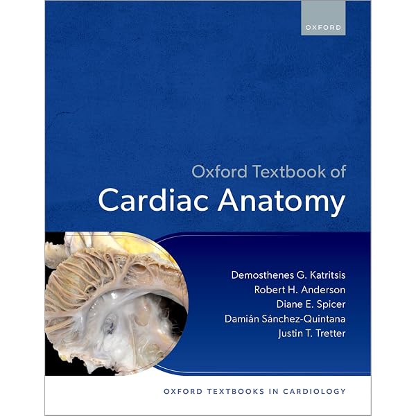 Applied Anatomy and Physiology for Speech-Language Pathology and